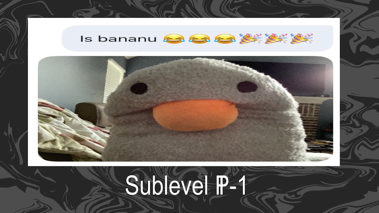 Paypalevel 1 showcase