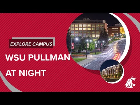 WSU Pullman at night