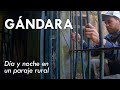 Gándara, un lugar mágico que me costó dejar | Partido de Chascomús