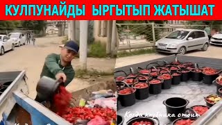 КУЛПУНАЙДЫ БЕКЕР ТАРКАТЫП, МУСУРГА ТӨГҮП.....