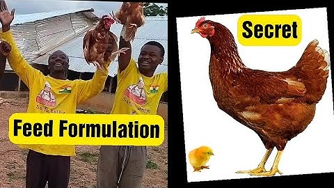 How to mix poultry feed / My Secret Poultry Feed Formulation