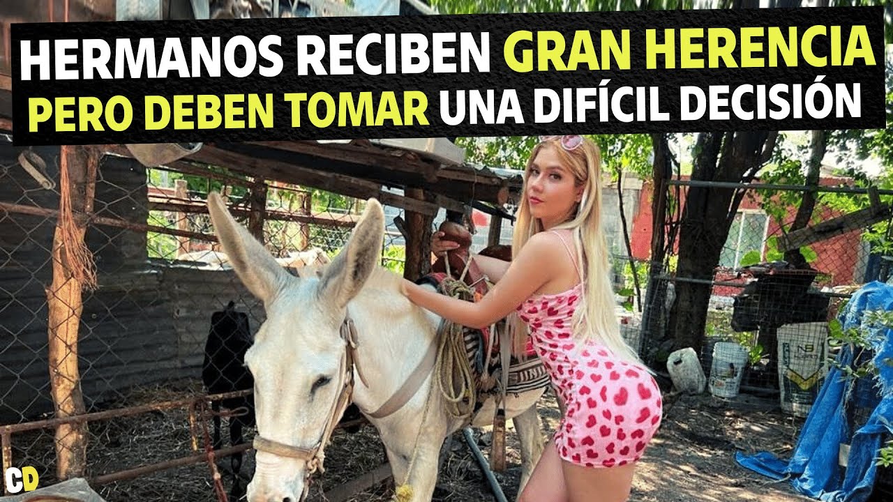 Hermanos reciben gran herencia pero deben tomar una difícil decisión.