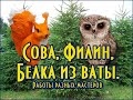 Сова, Филин, Белка - игрушки из ваты