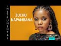 ZUCHU - NAPAMBANA INSTRUMENTAL BEAT (Prod by Gemini Studios)