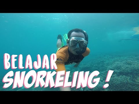 Video: Apa Itu Snorkeling Dan Bagaimana Menggunakannya