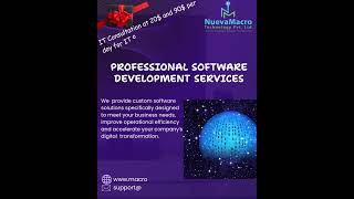 Professional Software development Services