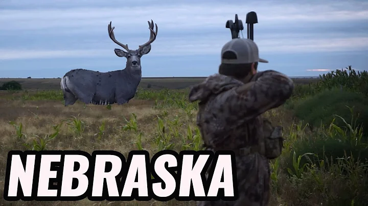 Nebraska - An Archery Mule Deer Hunt