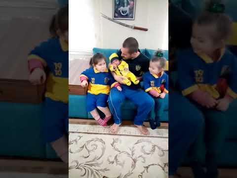 Video: Bir Bichon Frise üzerinde Gözyaşı Lekeleri Nasıl Kaldırılır