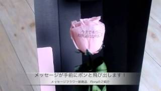 飛び出すメッセージフラワー　Flora