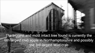 About Blisworth and Milton Malsor