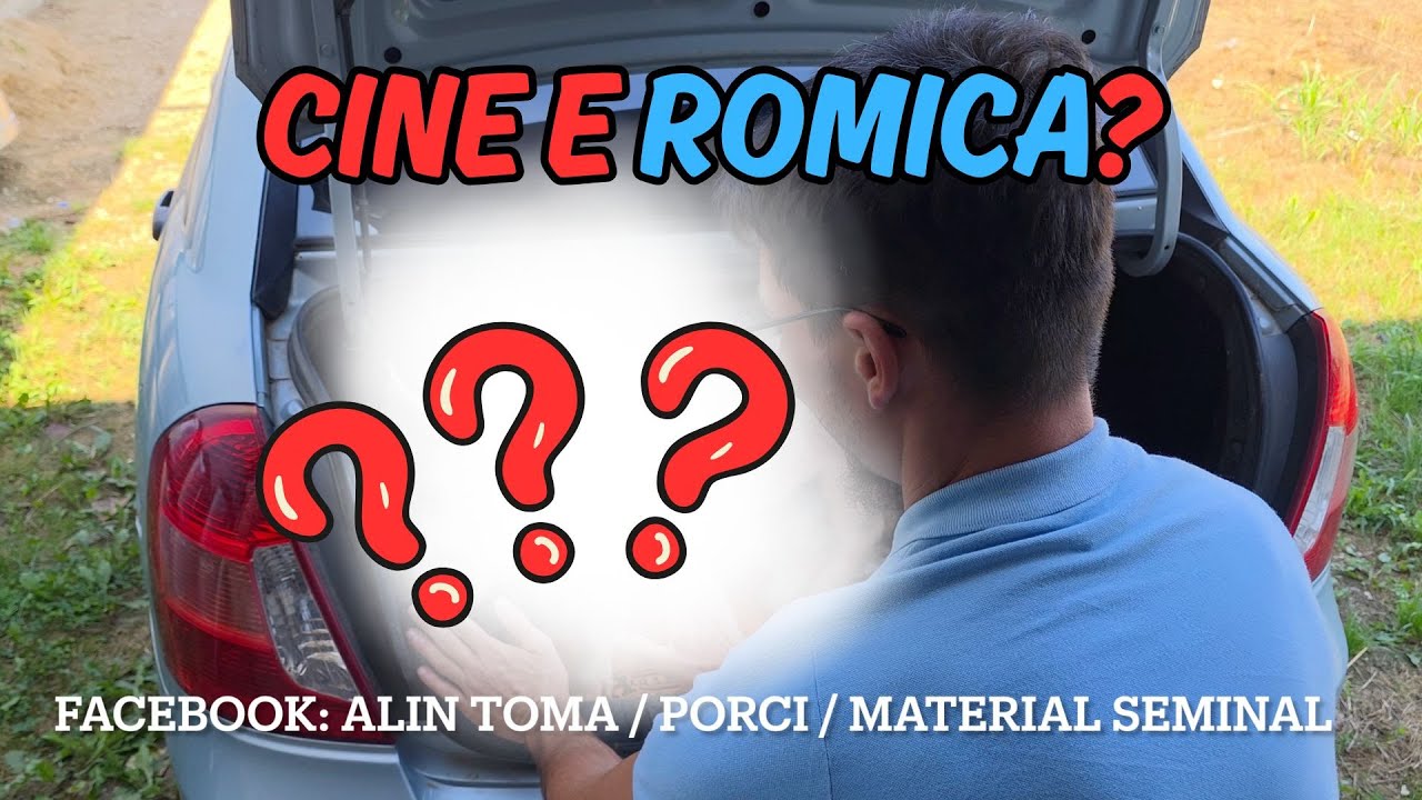 CAT LAPTE NE DA PUDDING PE ZI?