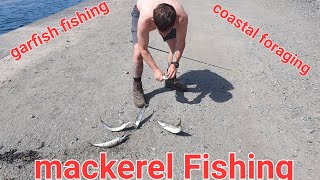 mackerel Fishing garfish Fishing coastal foraging North Welsh Manai and Holly head