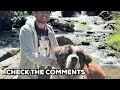 Middle of video