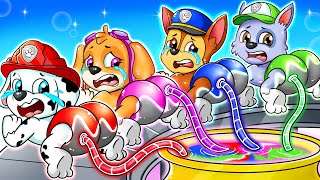 Brewing Cute Baby & Pregnant, But Color Are Missing  Paw Patrol Ultimate Rescue  Rainbow 3