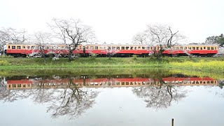 小湊鉄道キハ２００形３連普通１８A飯給到着～発車(2024.4.6)