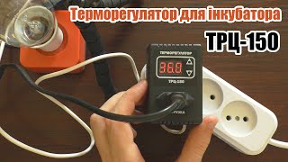 Терморегулятор для инкубатора ТРЦ-150 обзор