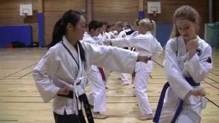 Part2: Master Anna Kim, 6 Dan Taekwondo. Training session Part 2 of 2
