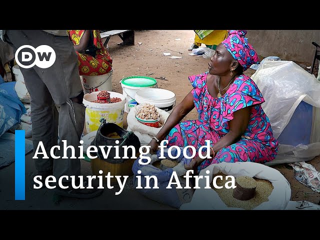 How can Africa feed itself in times of drought and war? | DW News