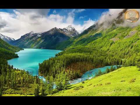 سورة يوسف بصوت الشيخ فهد الكندري 