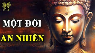 Sống Là Chính Mình Để Tìm Kiếm Hạnh Phúc Và Hoàn Thiện Bản Thân.