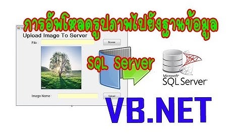 (VB.NET) การอัพโหลดรูปภาพไปยังฐานข้อมูล SQL Server | How Upload Picture To SQL Server