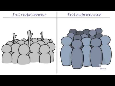 Βίντεο: Ποιος είναι ο ρόλος ενός intrapreneur;