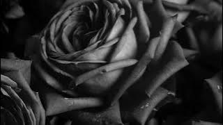 GoGo Morrow-Don't Stop