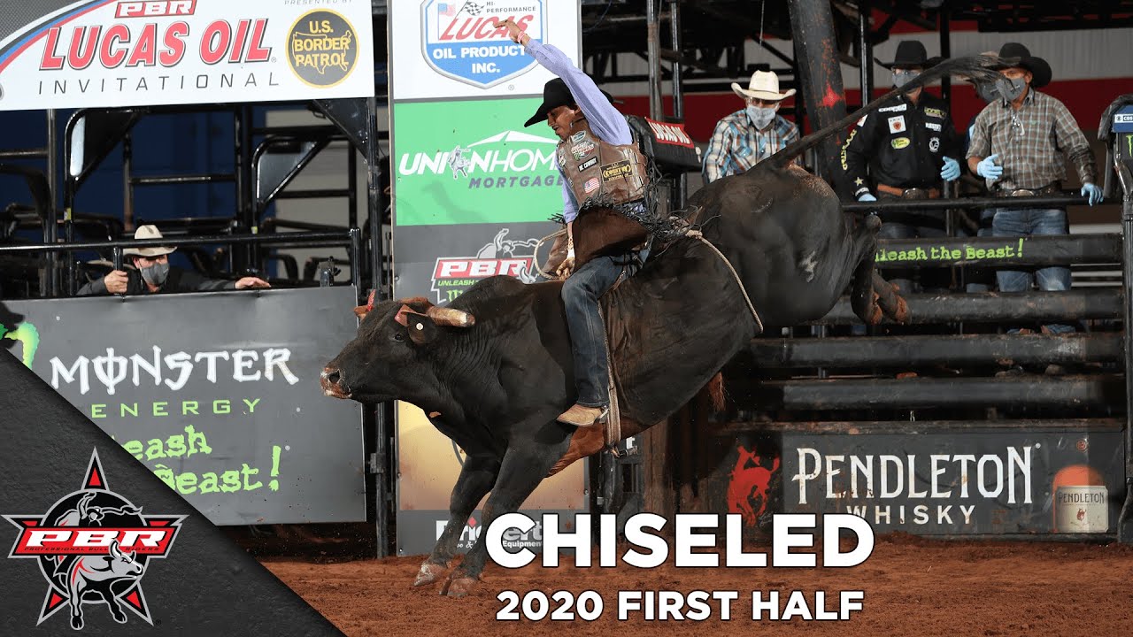 Chiseled is another elite bucking bull from D&H Cattle in Dickson