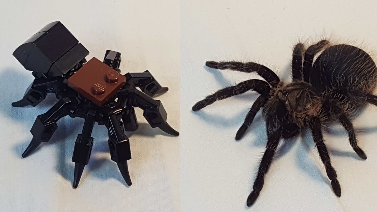 Lego tarantula