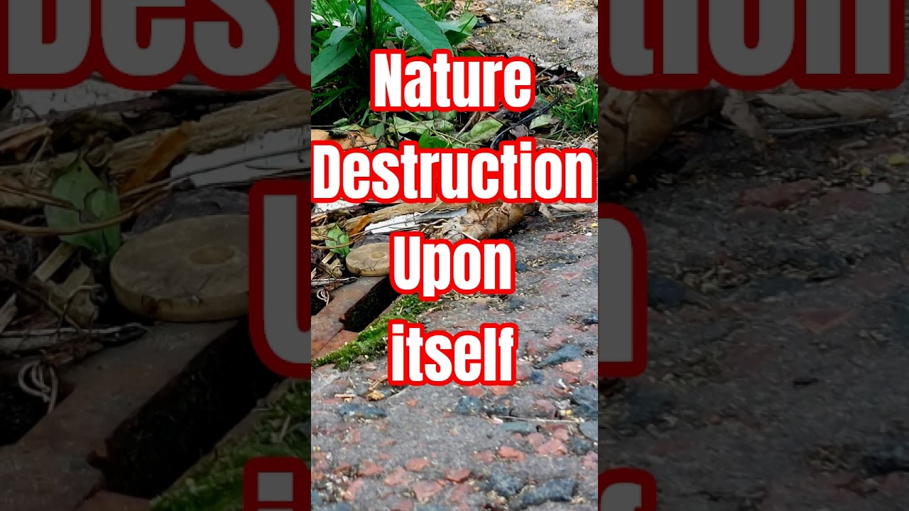 Nature Destruction upon Itself 
