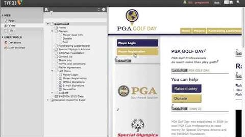 Typo3 - Page Mode vs View Mode