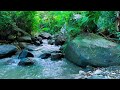 🌿 Relaxing River Stream Sounds for Sleep, Focus and Calm Mind 🎧