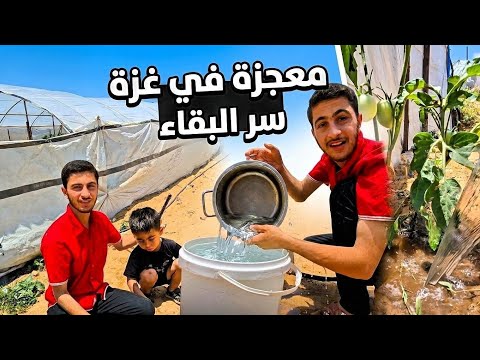 صدمة القرن! 😨 ما فعلوه في غزة للحصول على قطرة ماء سيذهل العالم أجمع! النتيجة لا تصدق... 🔥💧