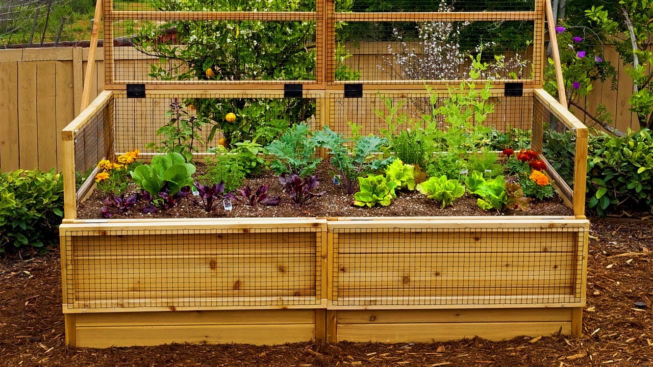 Greenes Fence Estacas de madera para jardín y poste de letrero de 3 pies  (paquete de 25)