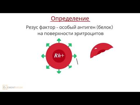 Резус-фактор. Резус-конфликт
