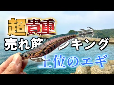 エギング】入手困難？！ 転売され続ける貴重なエギを使ってみた結果
