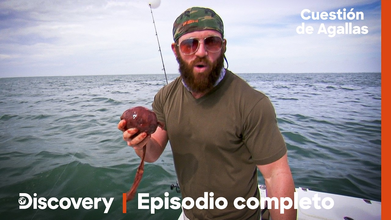 ¿Sobrevive la balsa al ataque del pez espada gigante? | Episodio 2 | Cuestión de agallas