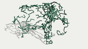 3D Generative Hyphae Algorithm - Simulations