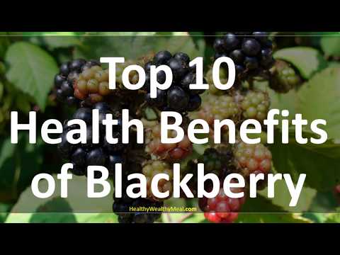 ブラックベリーフルーツのトップ10の健康上の利点|健康的な裕福なヒント
