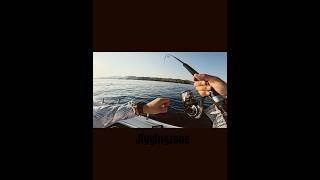 Λαγοκέφαλος στο cast Jigging #λαγοκεφαλος #λαγοκέφαλος #ψαρι #ψάρι #ionio #meditteranean #ψάρεμα