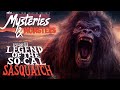 Legend of the socal sasquatch  mysteries  monsters new sasquatch documentary