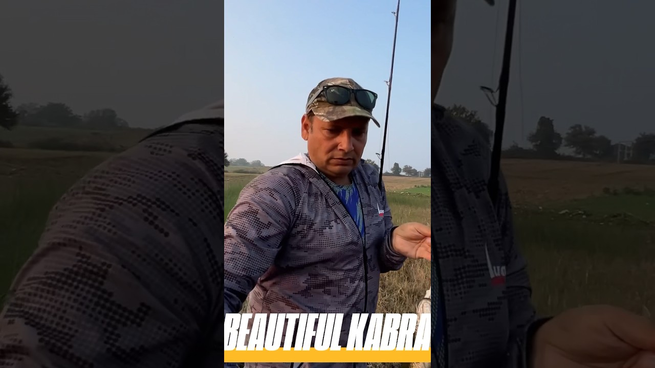 Beautiful Snakehead Fish 🎣 