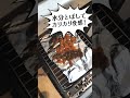 【クリームチーズの生ハムロール】