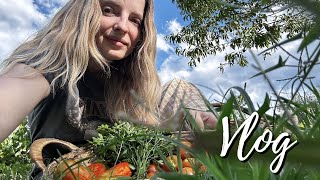 Download Lagu godišnji trošimo na radove u kući 😲🛠️ / VLOG 8 2025 MP3 Download Lagu godišnji trošimo na radove u kući 😲🛠️ / VLOG 8 2025 MP3