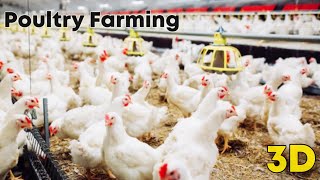 Poultry Farming |⚡3d animation | Class 9, Agriculture |