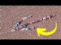 This Kids Lie In Field And Refuse To Move, One Look Sends Cops Running