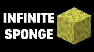 DONUT SMP INFINITE SPONGE #teamdrain