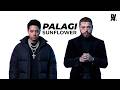 Palagi x Sunflower BUT IT'S AI Cinematic &amp; Melodic Trap Mashup | TJ Monterde x Post Malone