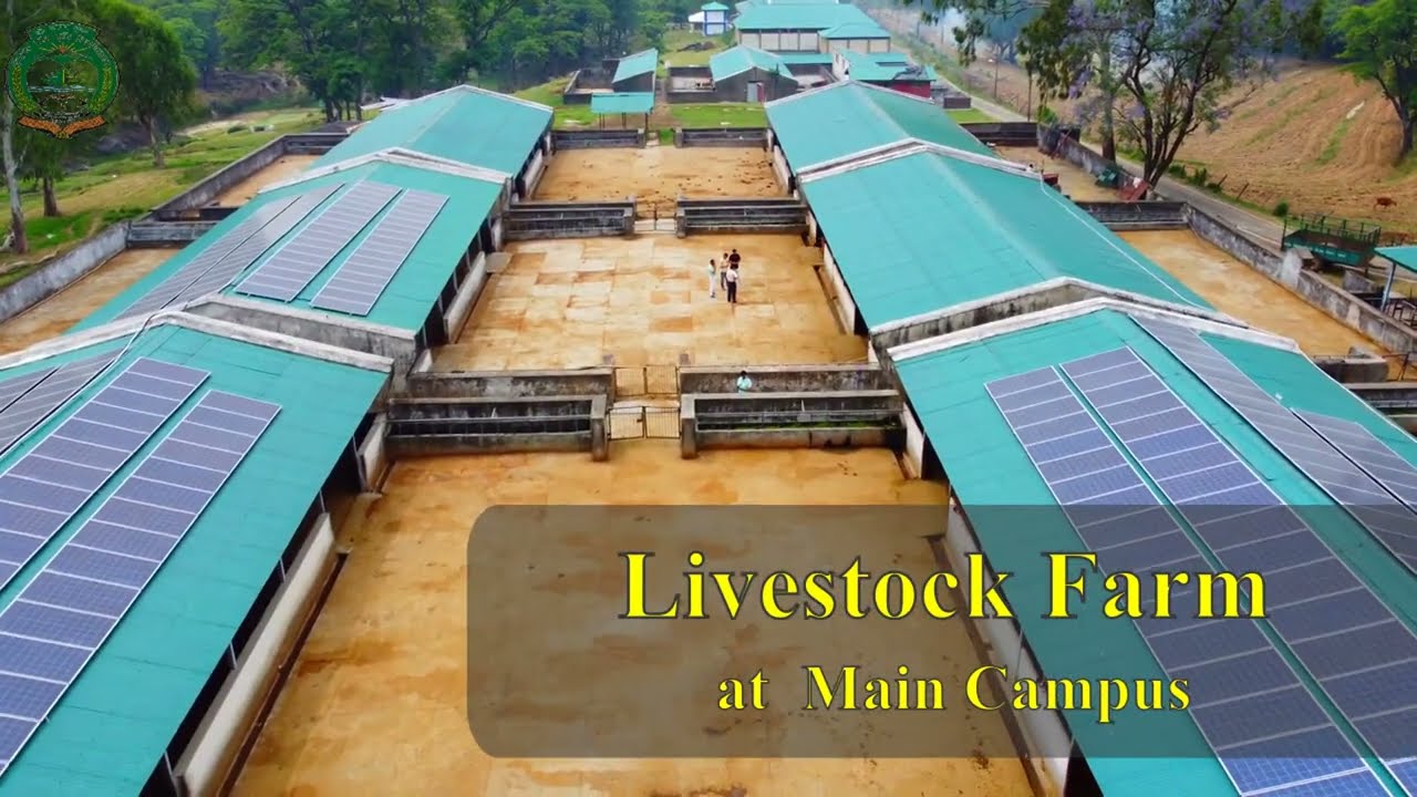Virtual tour of Livestock Farm Complex at  CSK HP Agricultural University Palampur