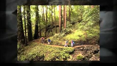 Integral Transformation